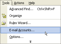 Motion Networks - Outlook